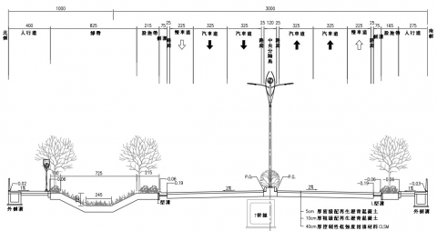 特II道路標準橫斷面(南工處提供)