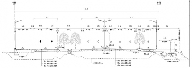 ↑50M標準斷面圖