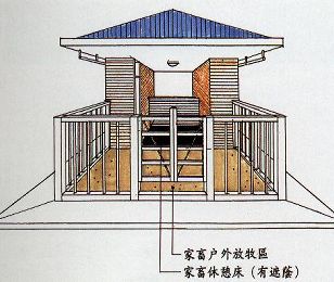 正向透視圖