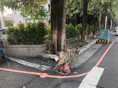 臺南市仁愛國小的通學步道優化工程(改善前)