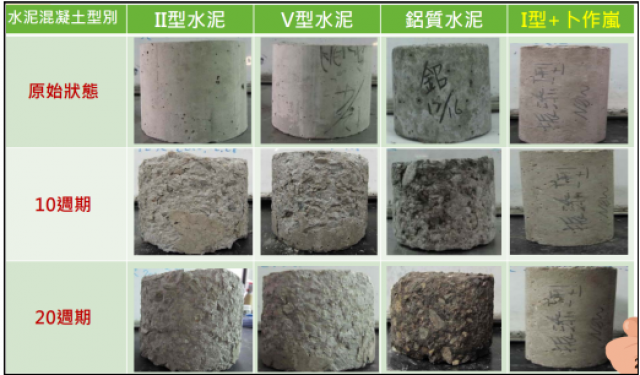 圖2、第20週各類型管材受硫酸鹽侵蝕之外觀變化